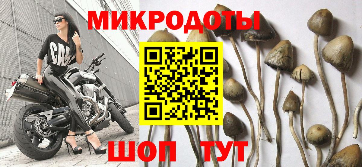 Галлюциногенные грибы Psilocybe  Псилоцибиновые грибы Psilocybine cubensis  Вход с VPN  Краснодар 