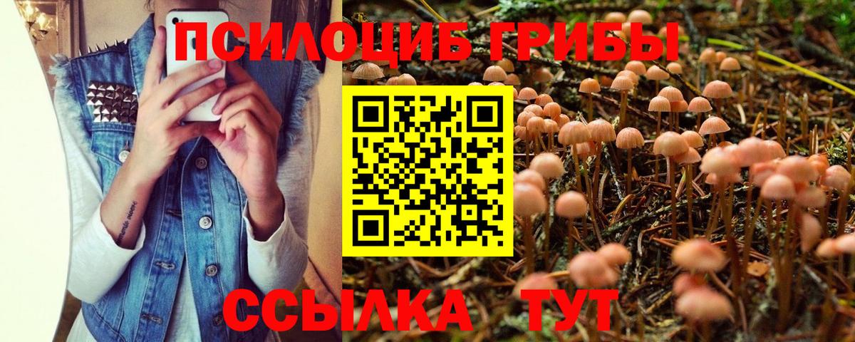 Псилоцибиновые грибы GOLDEN TEACHER Краснодар